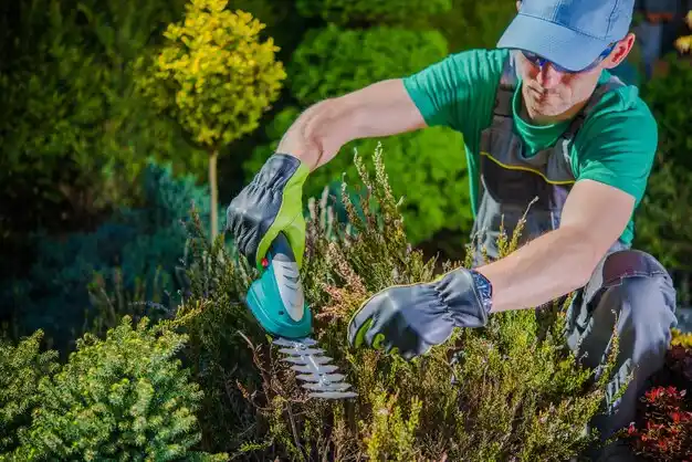 landscaping services Creston